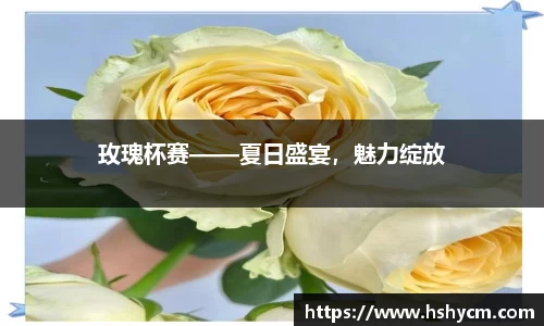 玫瑰杯赛——夏日盛宴，魅力绽放