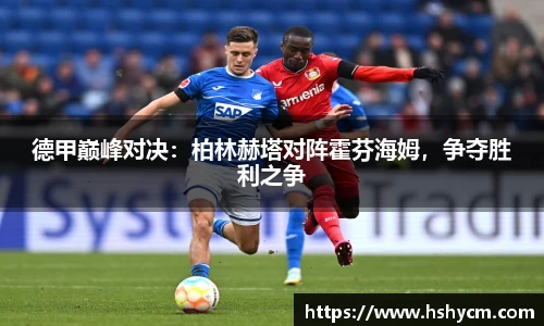 德甲巅峰对决：柏林赫塔对阵霍芬海姆，争夺胜利之争