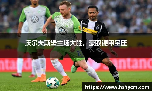 沃尔夫斯堡主场大胜，豪取德甲宝座